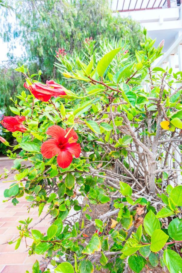 Vivienda Vacacional Serendipity Costa Teguise Kültér fotó